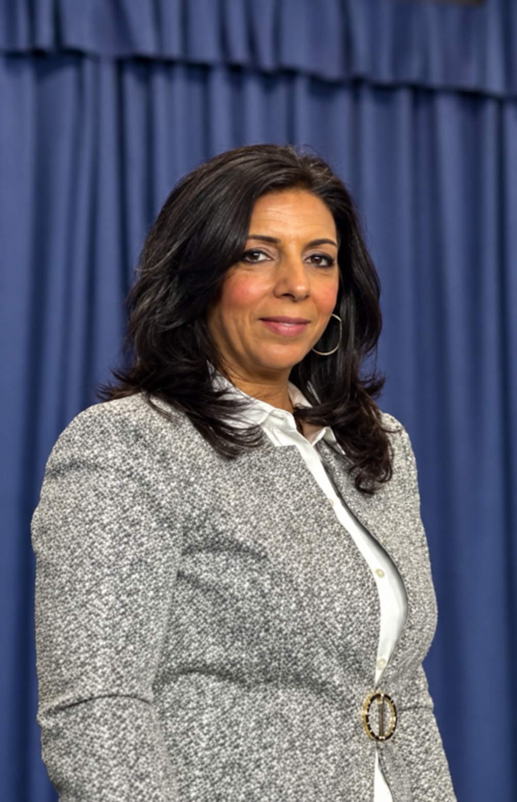 Shereen Badawy at a professional event